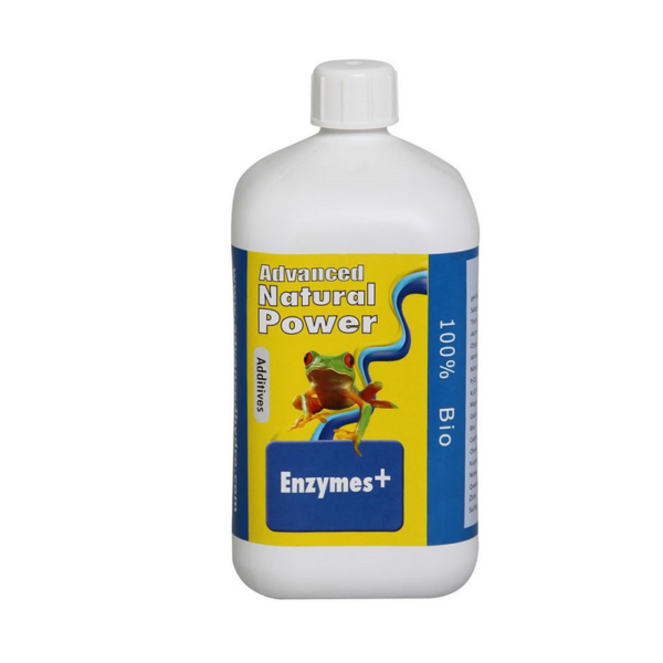 Enzymes + 500ml