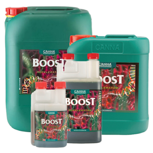 Boost Accelerator