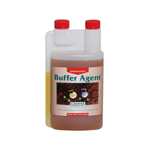 Buffer Agent