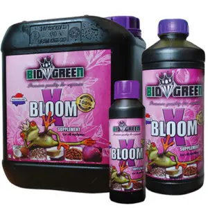 X-Bloom