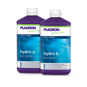 Basis A & B Hydro