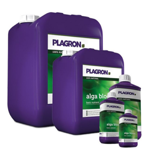 Basis Alga Bloom