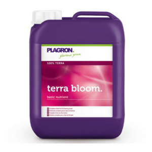 Basis Terra Bloom